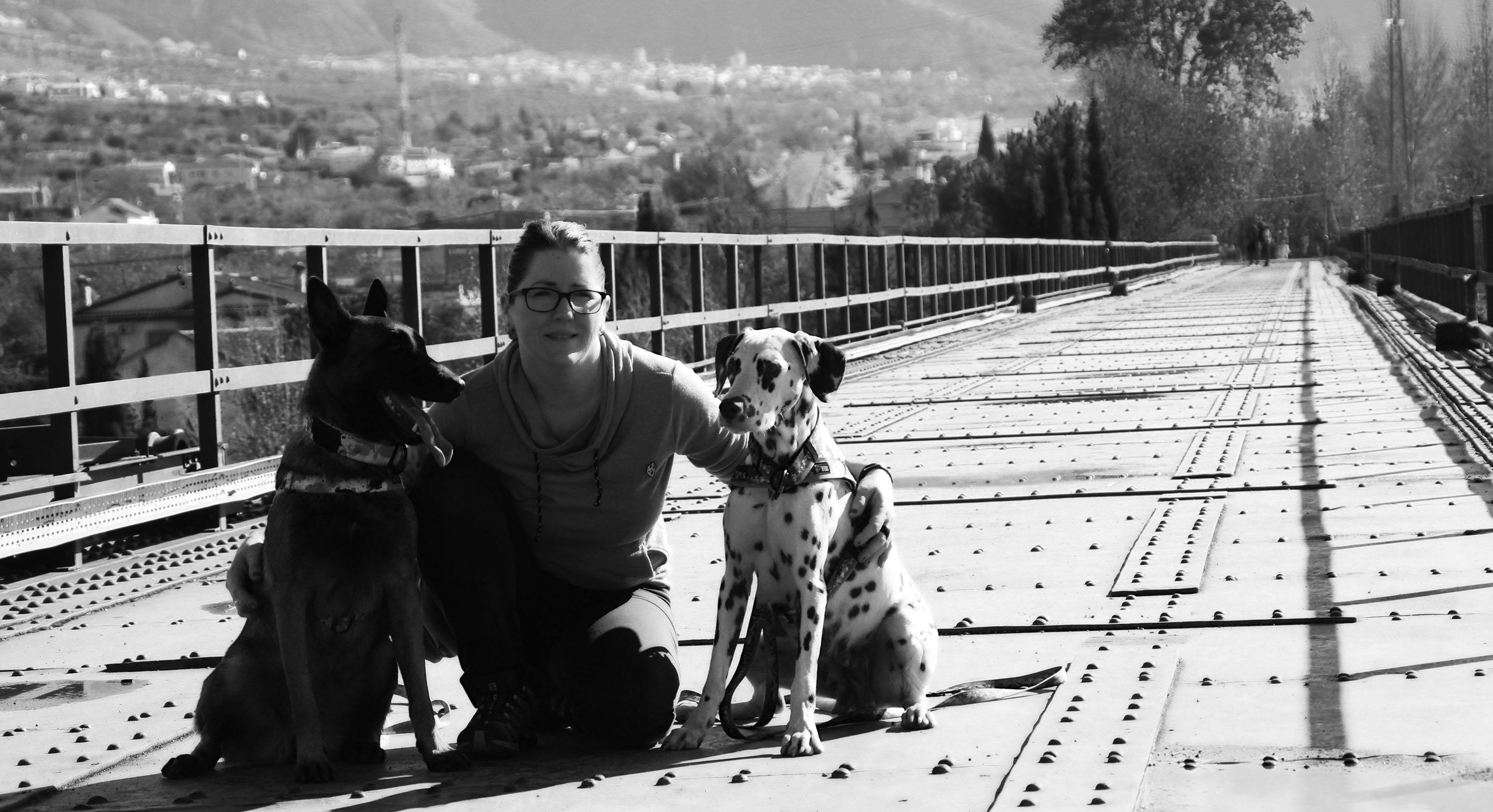 Funny Dogs - Adiestradora en Granada Funny Dogs - Adiestrador de perros en Granada