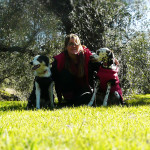 Entrenador de perros en Granada