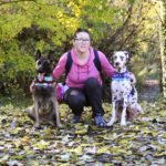 Paseo con mis perros en otoño - Funny Dogs