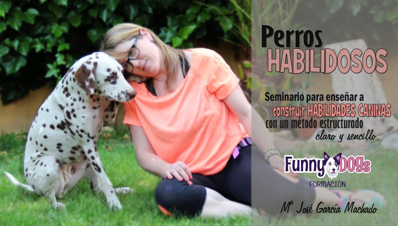Curso de Habiilidades Caninas Cursos de Educación Canina y Adiestramiento de Perros en Granada