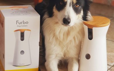 Furbo Dog Camera – La Super Cámara para los Perros