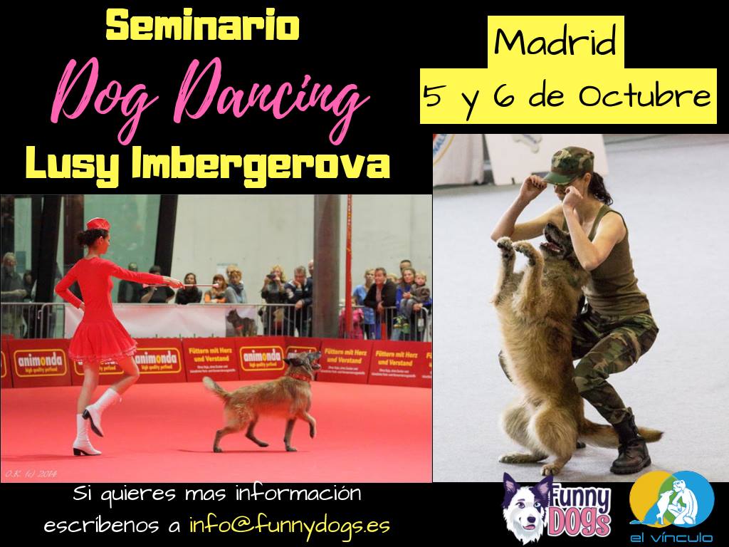 Curso para el Perro de deporte Cursos de Educación Canina y Adiestramiento de Perros en Granada