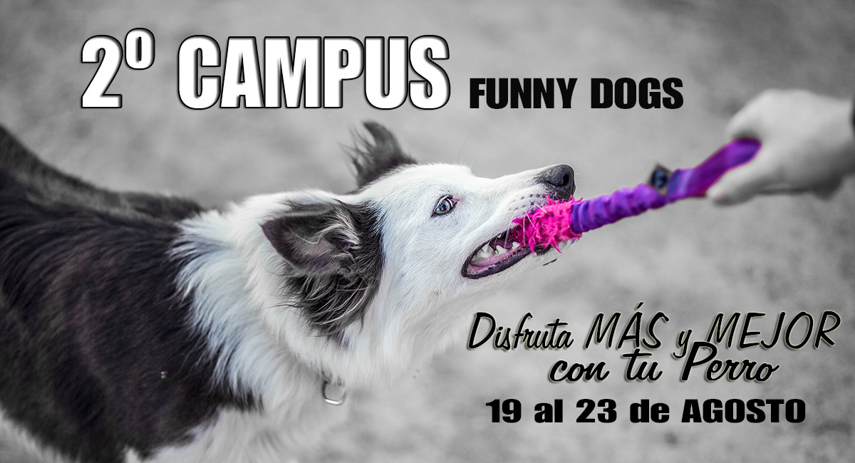 Educación y adiestramiento canino en Granada Educación y adiestramiento canino en Granada