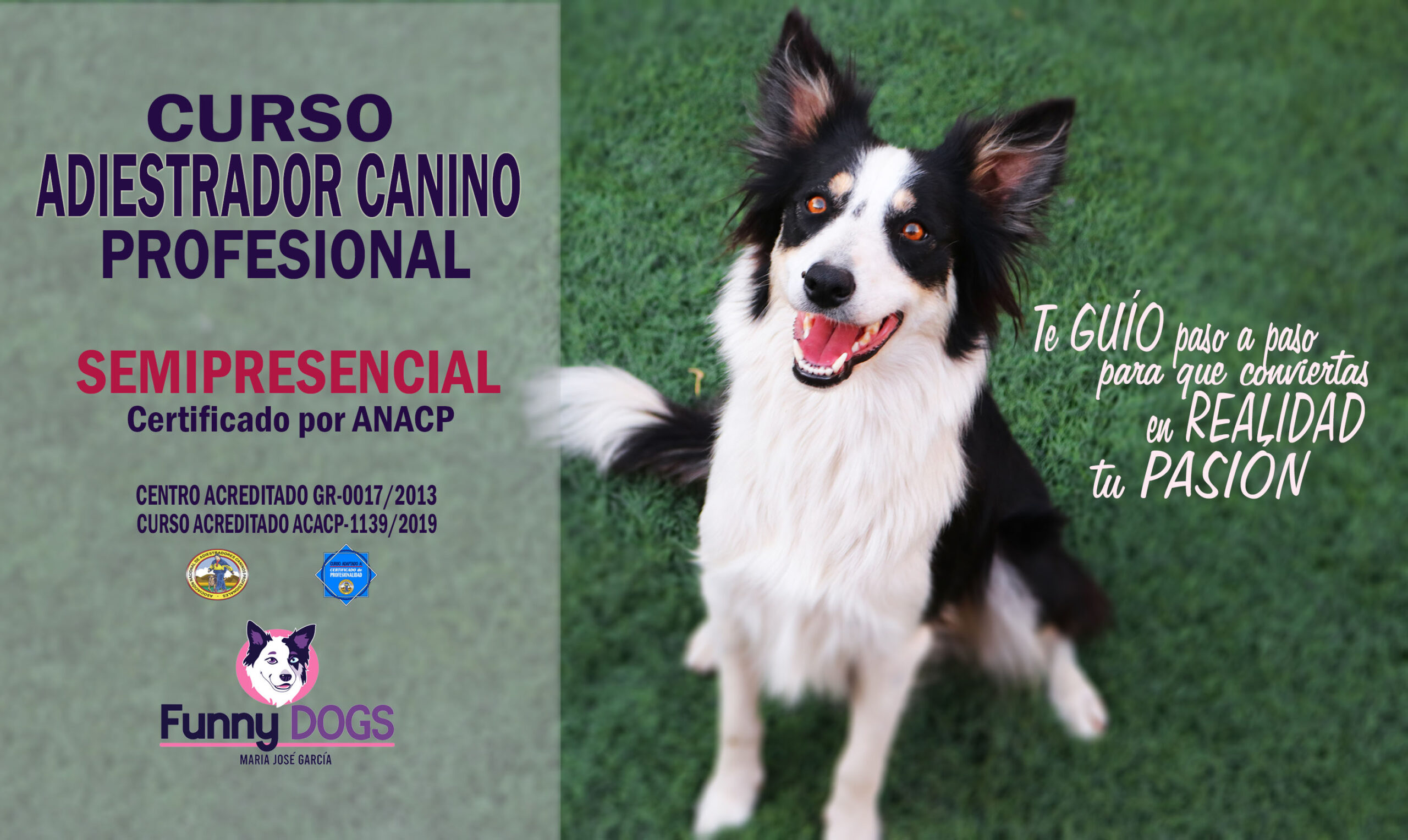 CACP 2021 - 2 ANACP Cursos de Educación Canina y Adiestramiento de Perros en Granada