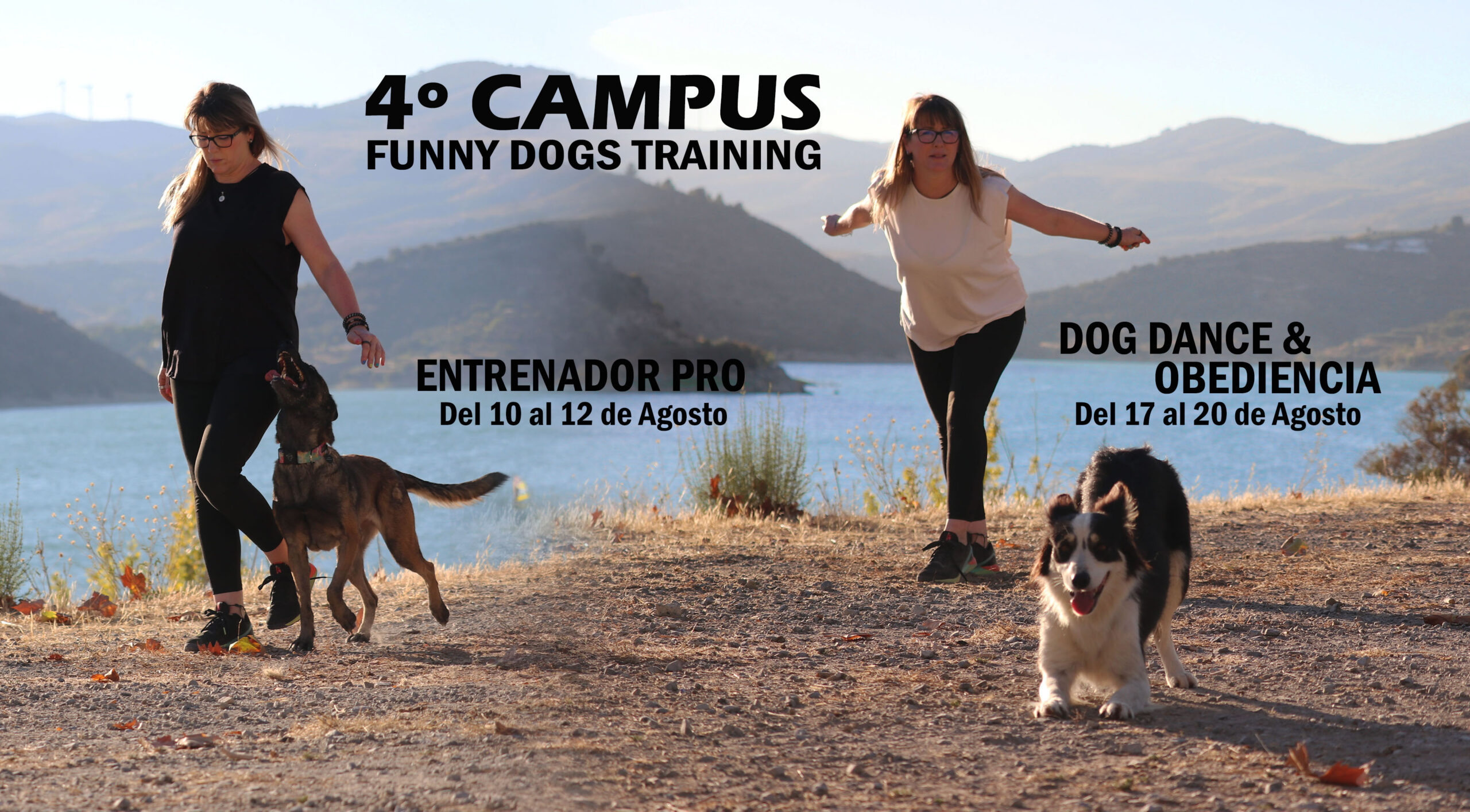 Cursos de Educación Canina y Adiestramiento de Perros en Granada