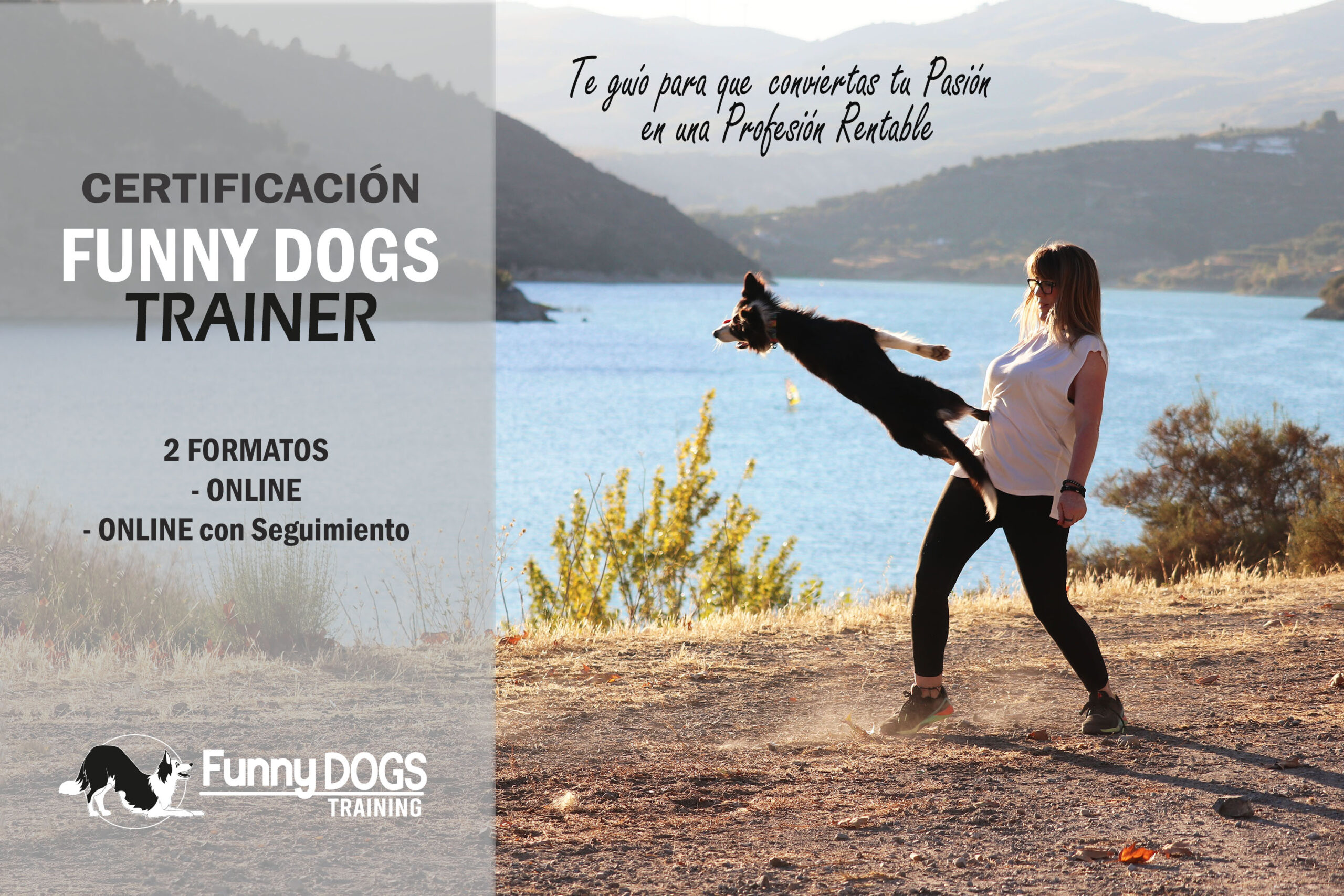 Cursos de Educación Canina y Adiestramiento de Perros en Granada