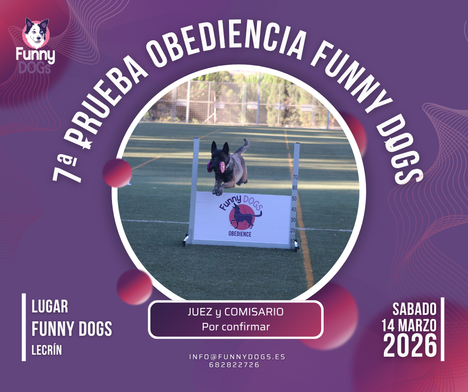 Cursos de Educación Canina y Adiestramiento de Perros en Granada