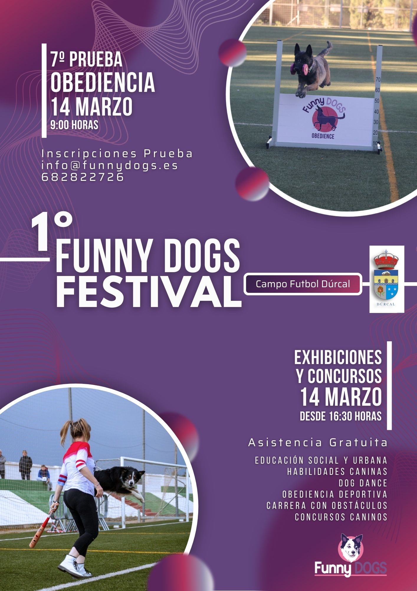 Cursos de Educación Canina y Adiestramiento de Perros en Granada