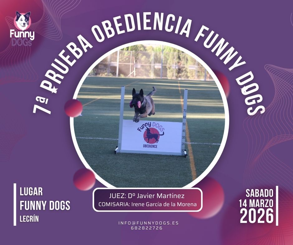 Cursos de Educación Canina y Adiestramiento de Perros en Granada